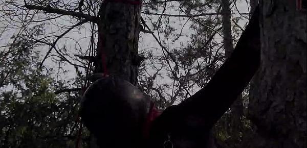  Tied up to a tree outdoor on sexy clothes, wearing pantyhose and high ankle boots heels, rough fuck